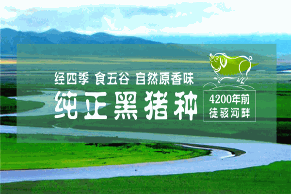徒河黑猪