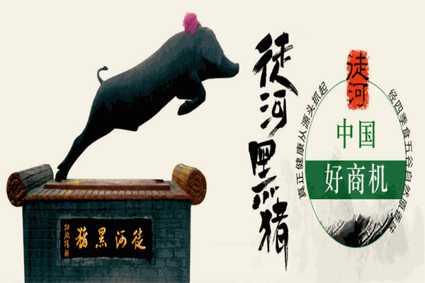 徒河黑猪