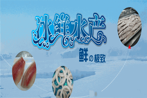 海鼎水产