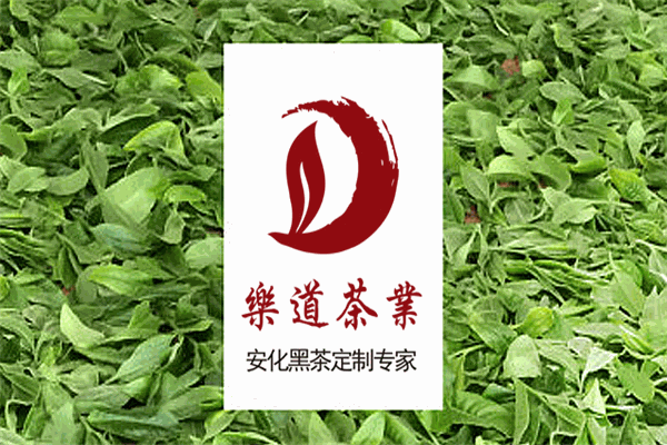 乐道茶业