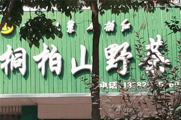 桐柏山野茶
