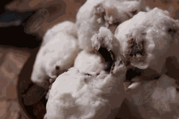 美思特火锅