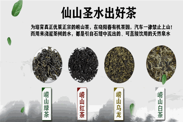 晓阳春茶叶