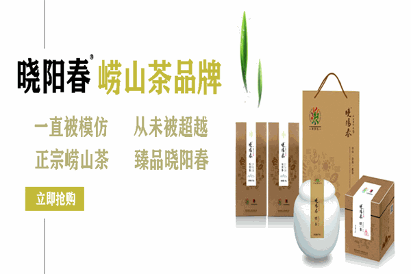 晓阳春茶叶