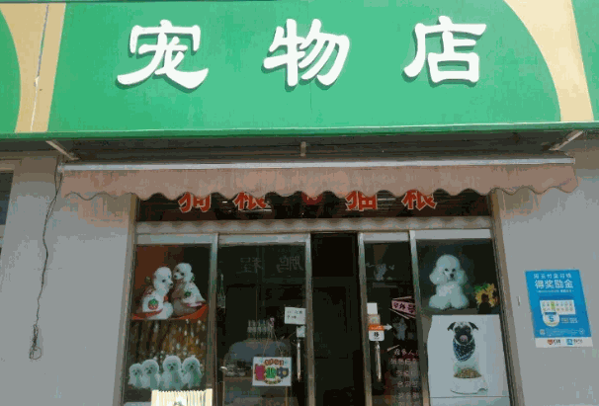 丝诺雪宠物店