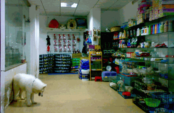 丝诺雪宠物店