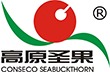 高原圣果沙棘浓缩汁加盟