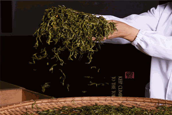 巅茶茶叶