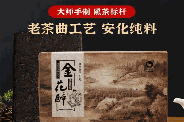 怡清源安化黑茶