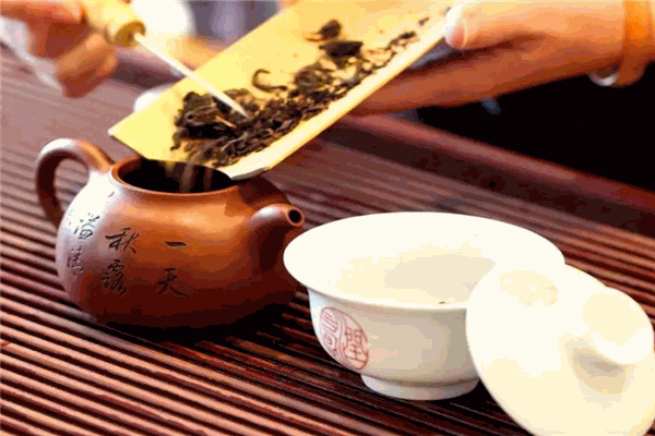 来一泡茶