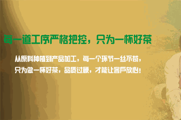 紫沁茶业
