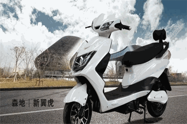 森地电动车