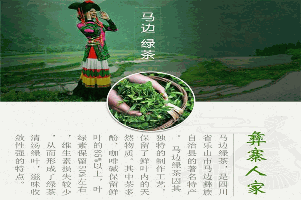 马边绿茶