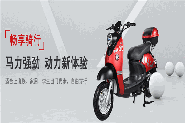 宝雕电动车