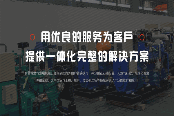 耐普特发电机