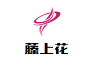 藤上花蒸包坊加盟