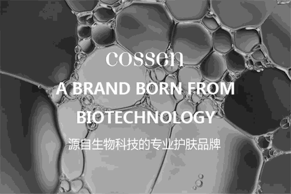 烈焰家族