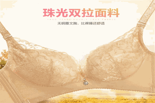 鸿姿情内衣