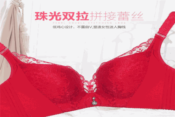 鸿姿情内衣