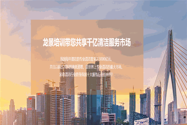 龙景家政保洁