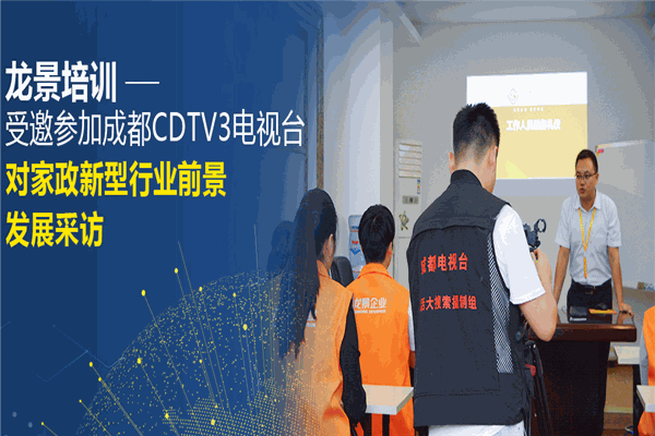 龙景家政保洁