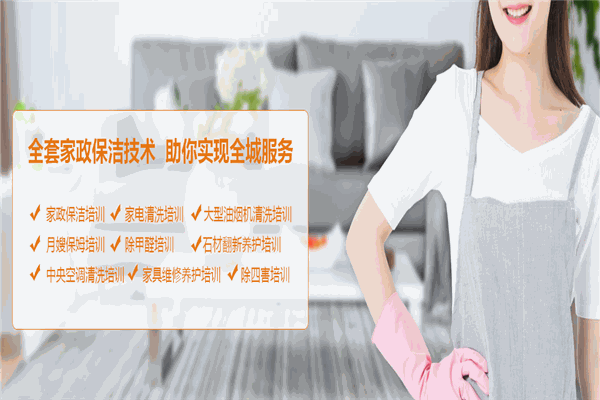 龙景家政保洁