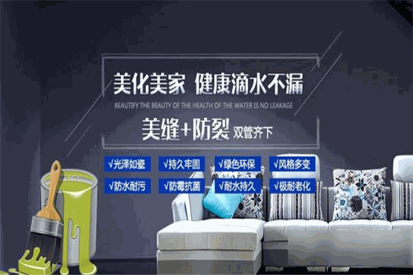巨邦美缝剂