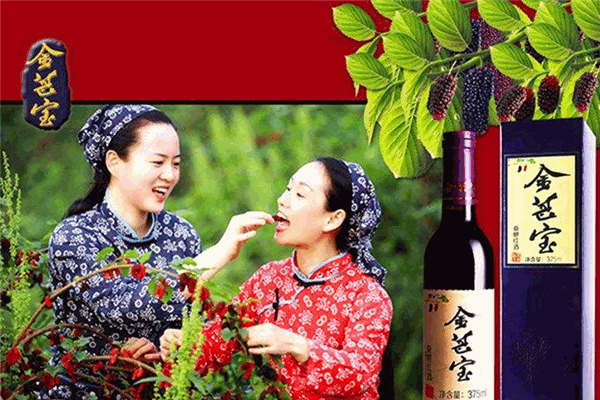 金葚宝桑果酒