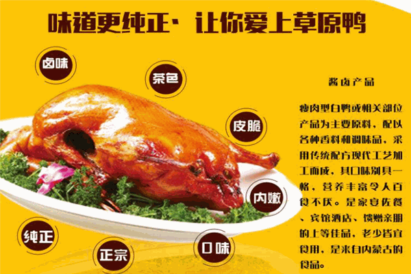 塞飞亚草原鸭