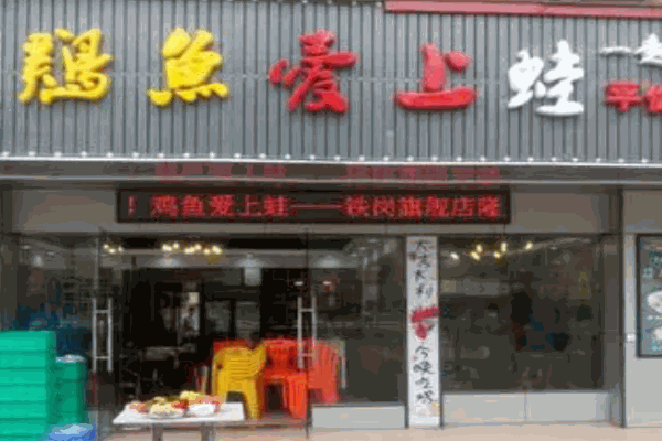 鸡鱼爱上蛙