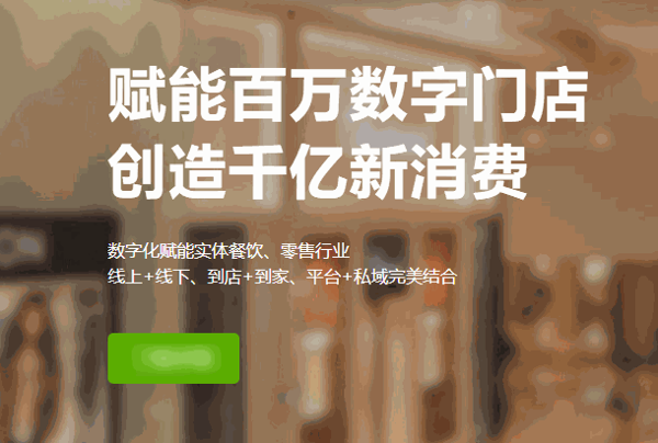 树熊网络