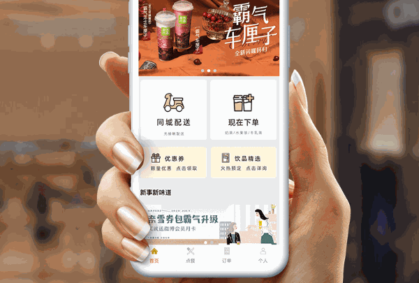 树熊网络