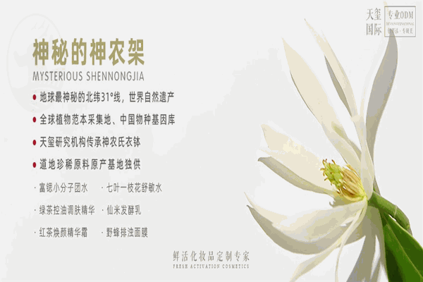 天玺美容