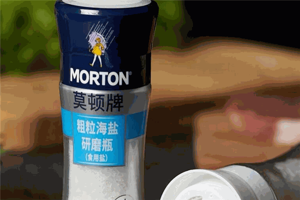 莫顿海盐
