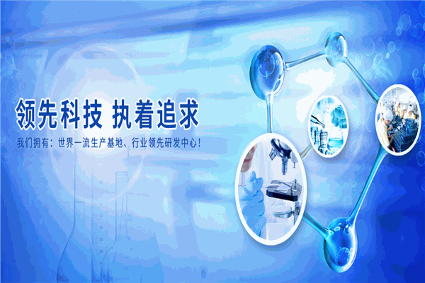 萱姿国际