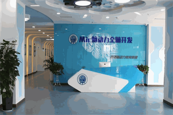 Mic脑动力全脑开发