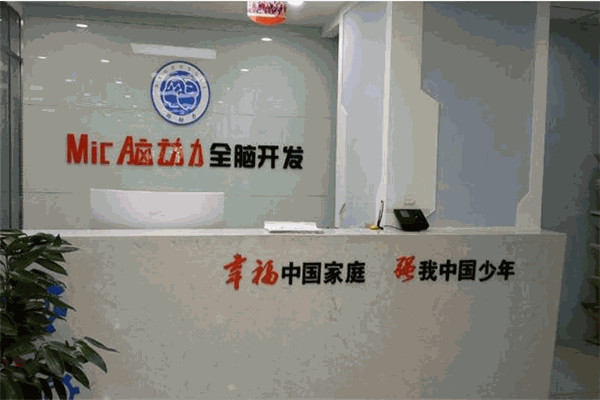 Mic脑动力全脑开发