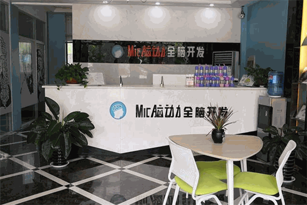 Mic脑动力全脑开发