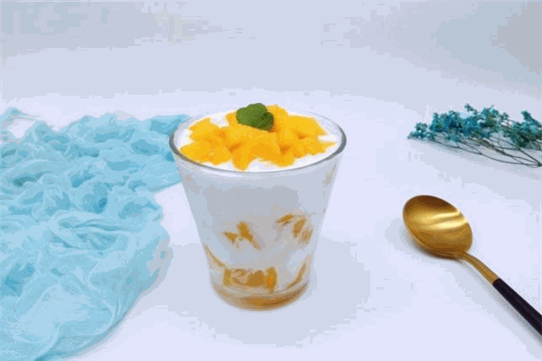 a+手作酸奶
