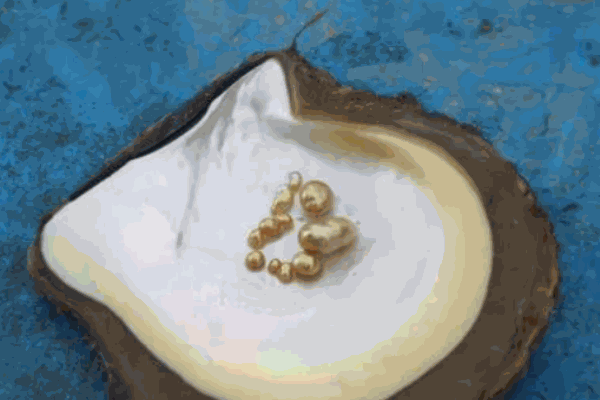 张昕宇首饰