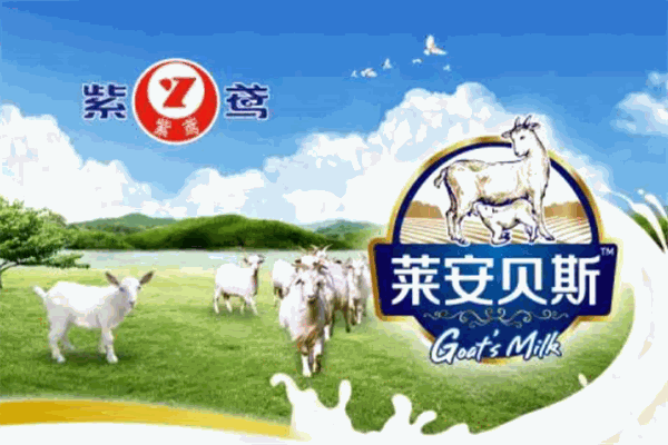 紫鸢乳业