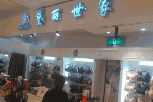 黛丽世家内衣