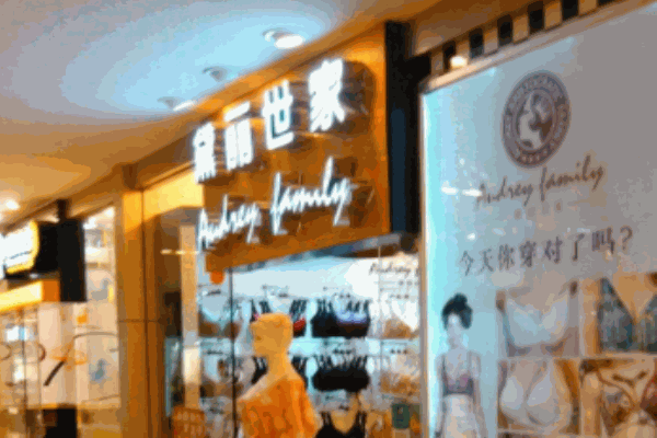 黛丽世家内衣