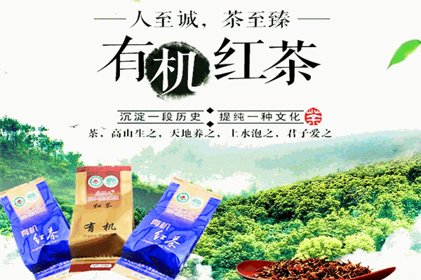 光照人有机茶