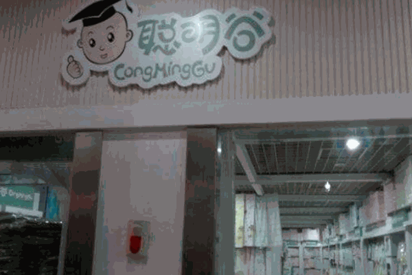 聪明谷童装