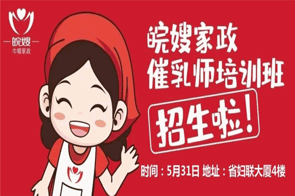 皖嫂家政