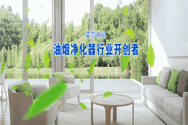霍尔新风系统