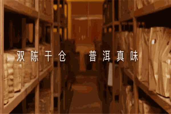 双陈普洱