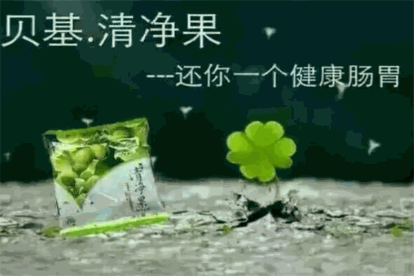 贝基清净果