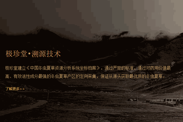 极珍堂冬虫夏草